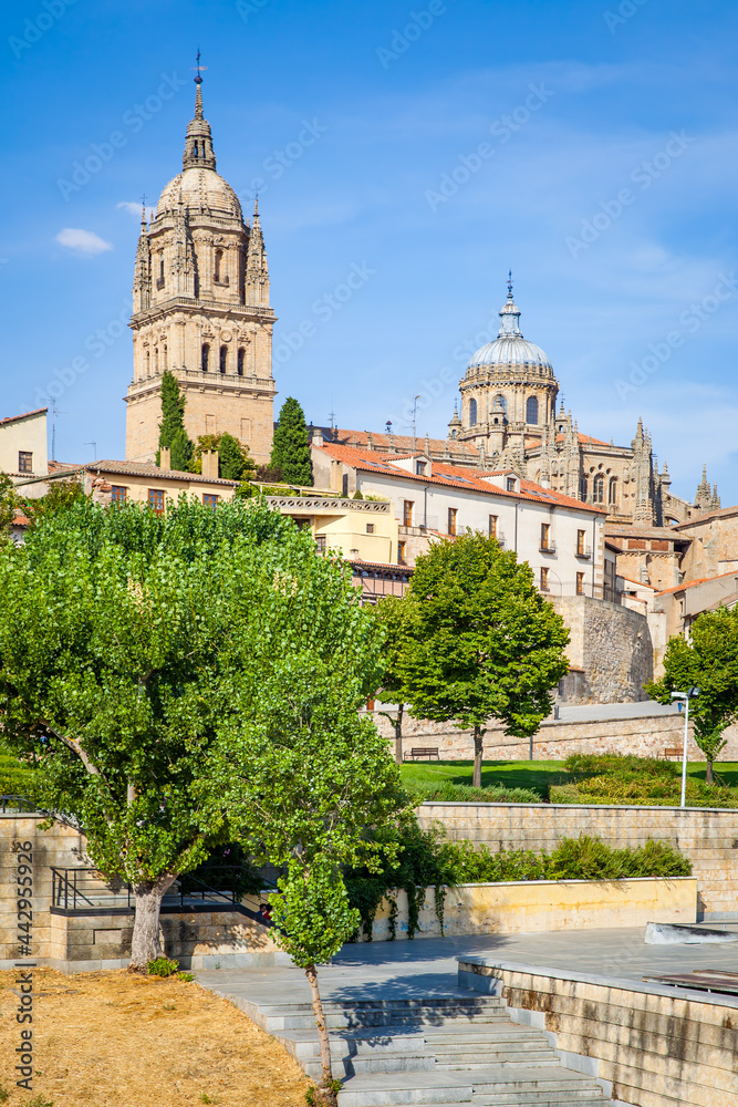 Public garden and Cathedral in Salamanca