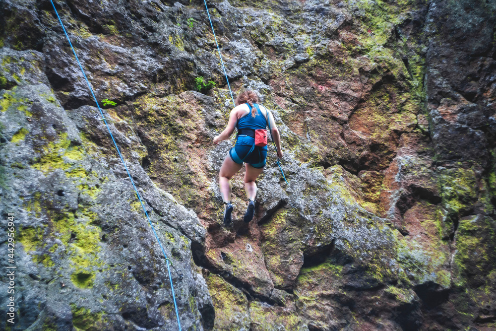 climber who conquered the summit