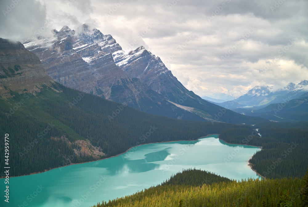 Peyto Lake Banff National Park. High angle view of Peyto Lake in Banff National Park in Alberta Canada.
Peyto Lake Banff National Park. High angle view of Peyto Lake in Banff National Park in Alberta Canada.