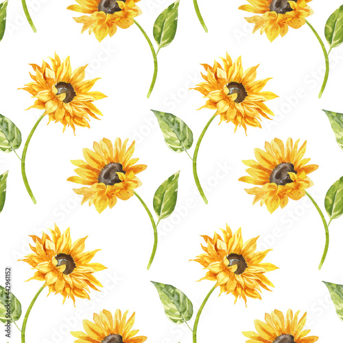 Watercolor seamless pattern     Sunflowers