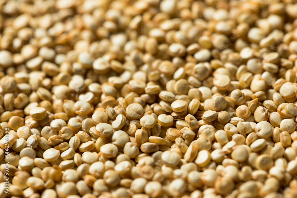 Raw Organic White Quinoa Raw Organic White Quinoa