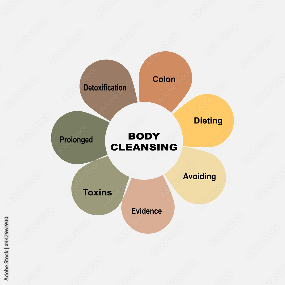 Diagram concept with Body Cleansing text and keywords. EPS 10 isolated on white background