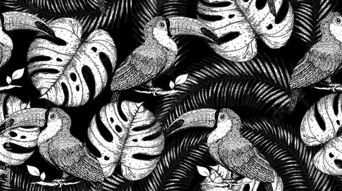 Seamless pattern with toucan and palm leaves. Hand drawn vector illustration. Tropical pattern. Jungle sketch illustration.