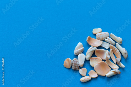 Blue fabric abstract background with a bunch of seashells and marine fossils in the lower right corner. Blank for design or layout for a designer with copy space on the theme of sea vacation