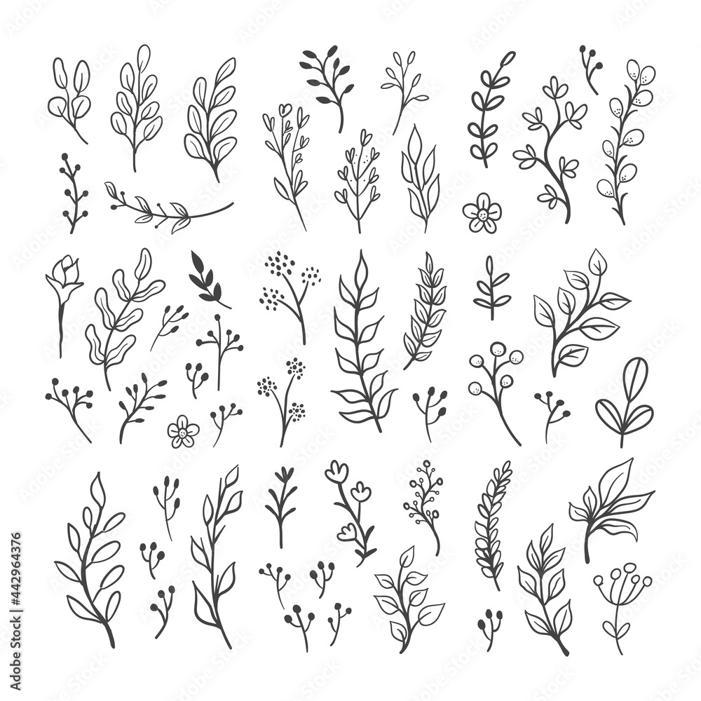 Fototapeta premium Floral graphic elements vector set. Flowers and plants hand drawn illustrations. Leaves and branches.