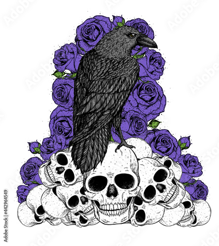 Black raven sits on the skulls. Skull, raven and roses hand drawn illustration. Tattoo vintage print. Skull hand drawn print. Tattoo design. Pile of skulls, flowers and raven.