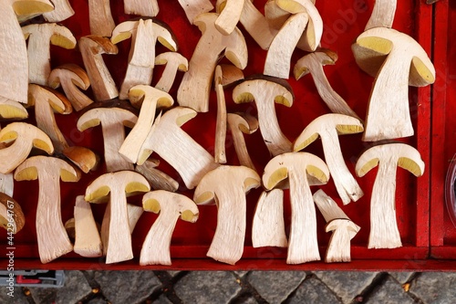 Wild forest mushrooms in Sweden photo