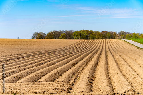 View of the plowed fields in the spring for growing