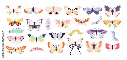 Decorative butterflies and caterpillars. Cute exotic butterfly, moth and larva. Colorful summer flying insects with wings, tattoo vector set