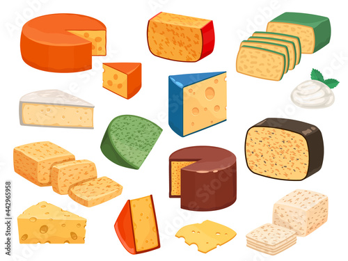 Cheese types. Cartoon cutted parmesan, brie triangle, mozzarella, gouda cheddar and feta slices. Tasty dairy food product. Cheese vector set photo