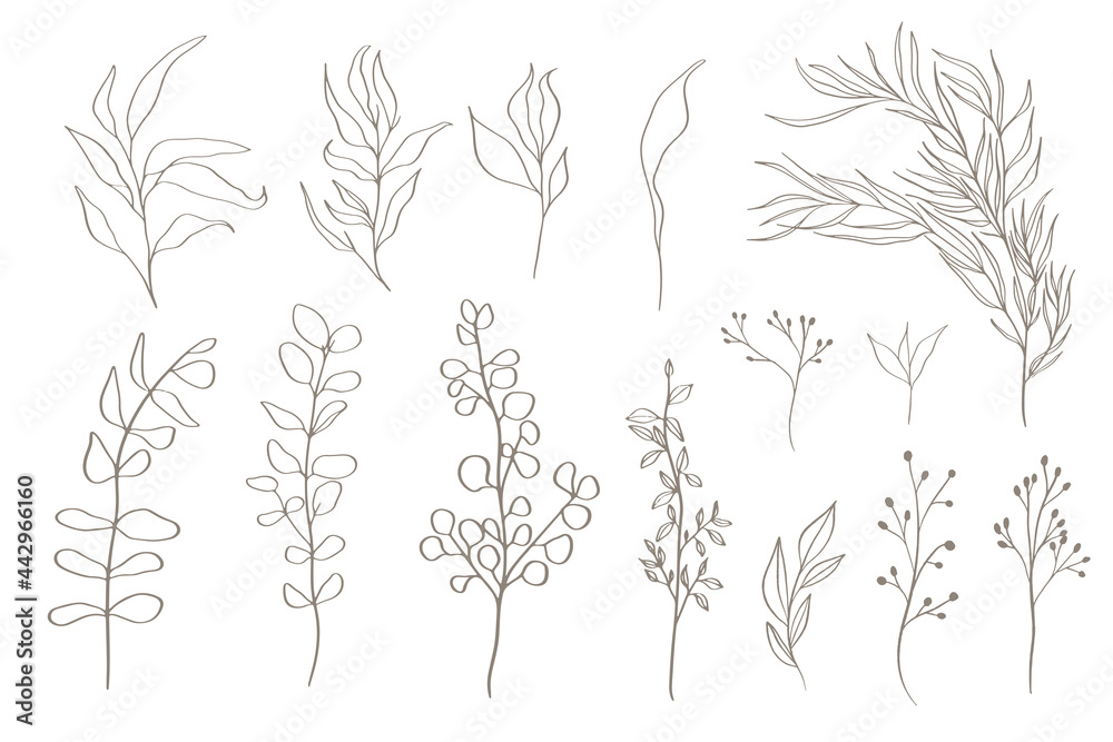 Set of tree branches, eucalyptus, leaves, herbs and flowers silhouettes.