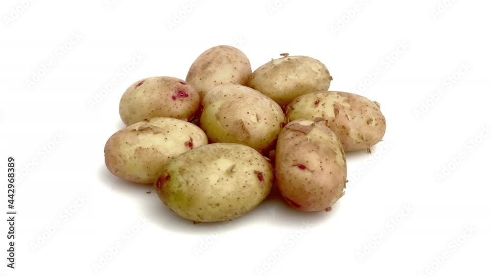 young potato isolated on white background young potato isolated on white background