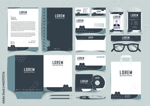 Stationery Corporate Brand Identity Mockup set with blue and white abstract geometric design. Business stationary mockup template of Guide, annual report cover, brochure, bag, corporate Letterhead.