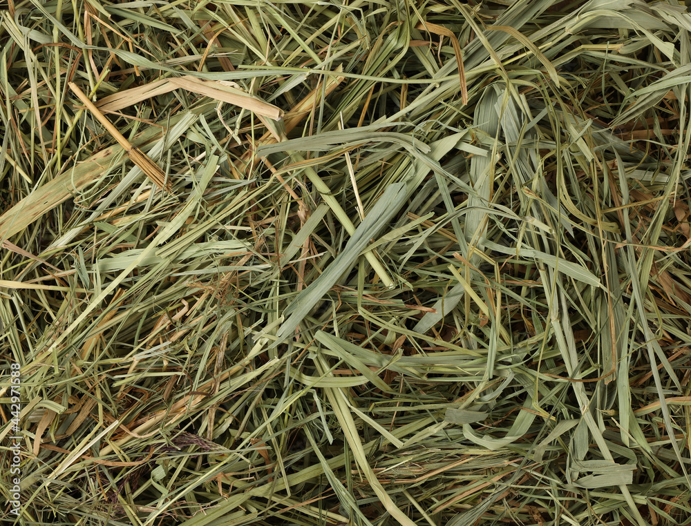 Background of natural dried hay and straw Background of natural dried hay and straw