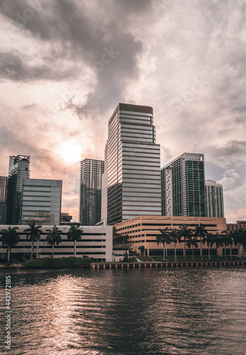 city skyline at sunset panorama Brickell miami florida sky buildings palms sea water business clouds river sea