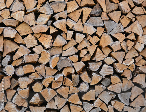 Stack pile of firewood oak wooden logs