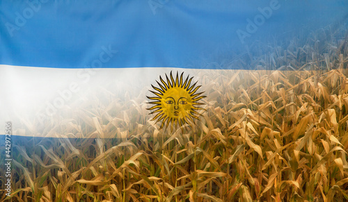 Argentina Nutrition Concept Corn field with fabric Flag