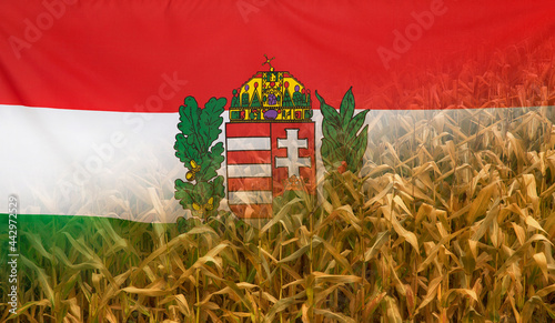 Hungary Coat of Arms Nutrition Concept Corn field with fabric Flag