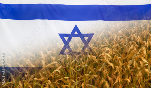 Israel Nutrition Concept Corn field with fabric Flag