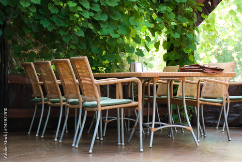 Summer outdoor café table by the grapevine