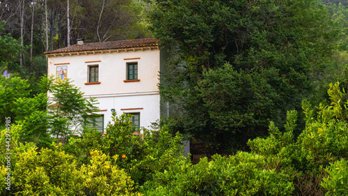 Nice rural house in the middle of a Mediterranean forest and orange trees.