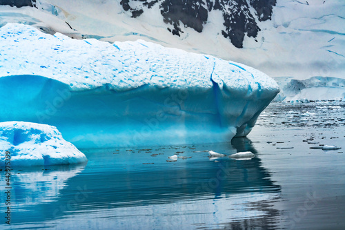 Glacier Paradise Bay Skontorp Cove Antarctica. Glacier is blue because air is squeezed out of snow. photo