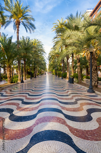 Paseo de la Explanada in Alicante  photo