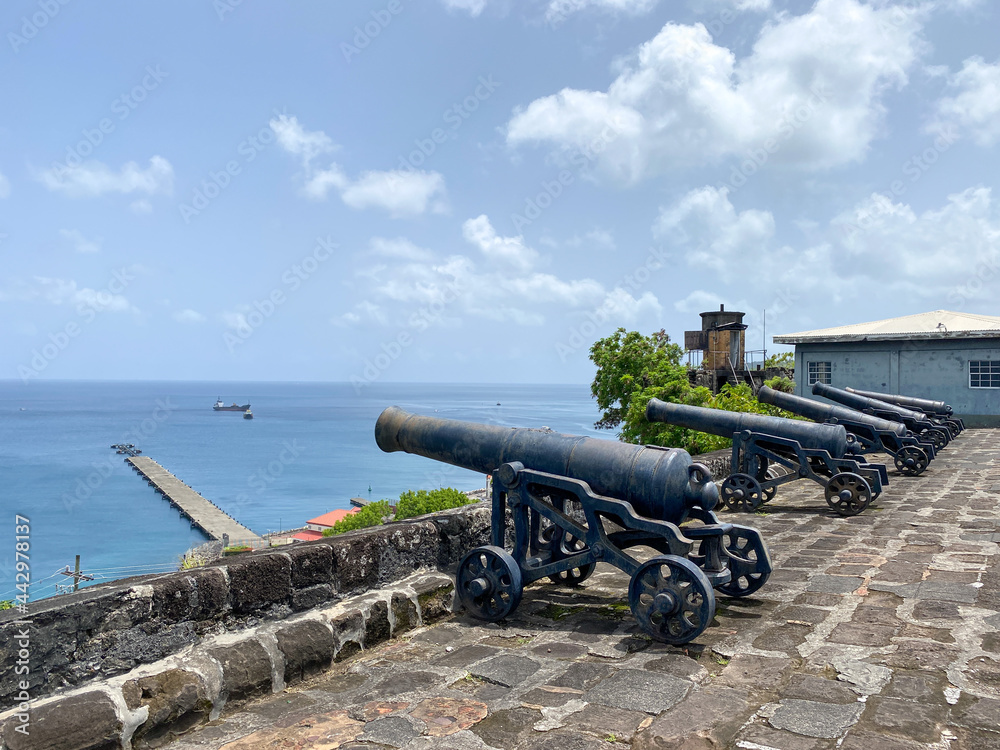 Cannons Overlooking St Georges Bay