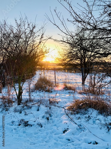 Sonnenuntergang auf dem Mühlenbecker Land (1)