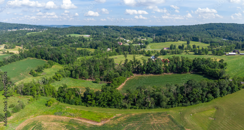 Rolling Hills and Farmland