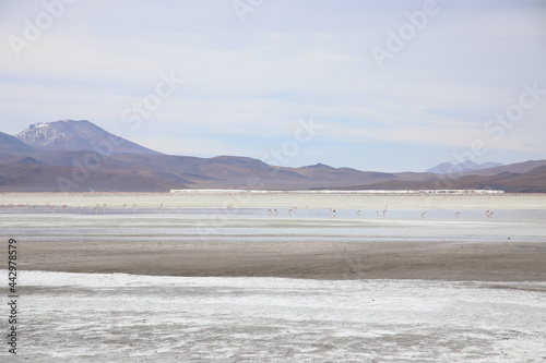 View of Laguna Colorada, Bolivia