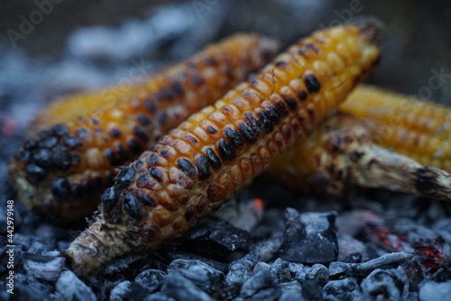 Εκτύπωση καμβά Ripe fresh corncob on open coal with smoke and ash