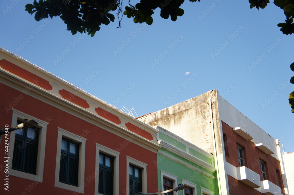 Fototapeta premium building and old city Recife PE