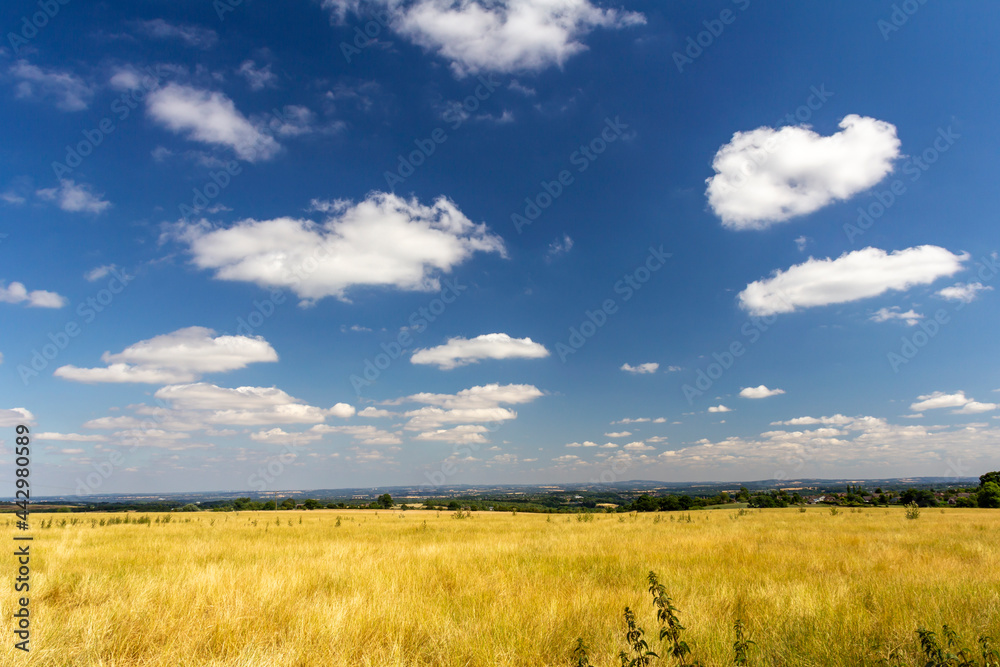 Hay field with a blue cloudy sky on a bright sunny day