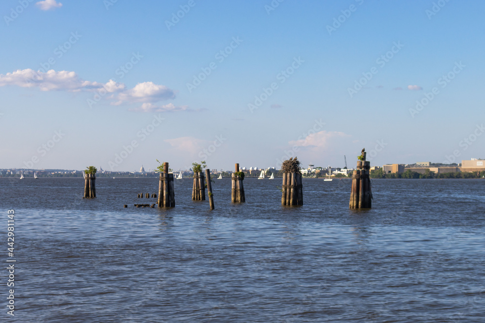 Wooden Poles In The Harbor Waters - Ford's Landing Park, Alexandria, VA Wooden Poles In The Harbor Waters - Ford's Landing Park, Alexandria, VA