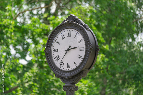 Large clock in the park against the background of the forest.