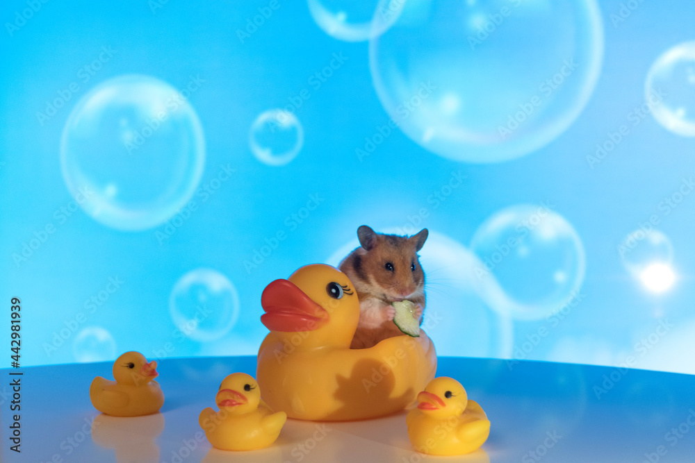 bath time bath time