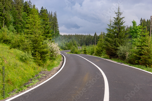 wavy road in the mountains and forest
