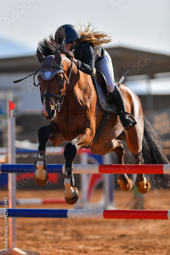 Rider on horse jumping over a hurdle during the equestrian event   © PROMA