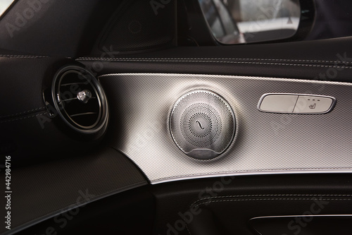 Elegant luxury car door interior