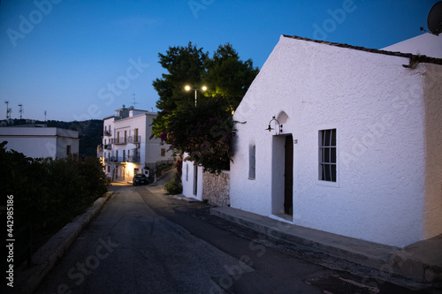 Fototapeta Naklejka Na Ścianę i Meble -  Street in old town Mattinata before sunrise. White walls and flowered trees in blue light. Narrow cozy Italian streets and small lanterns. The time stopped between night and sunrise