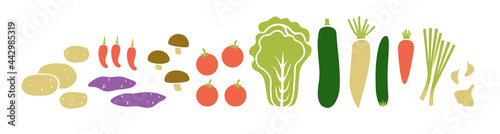 Horizontal set of food. Vegetables, roots and mushrooms. Vector flat illustration isolated on a white.