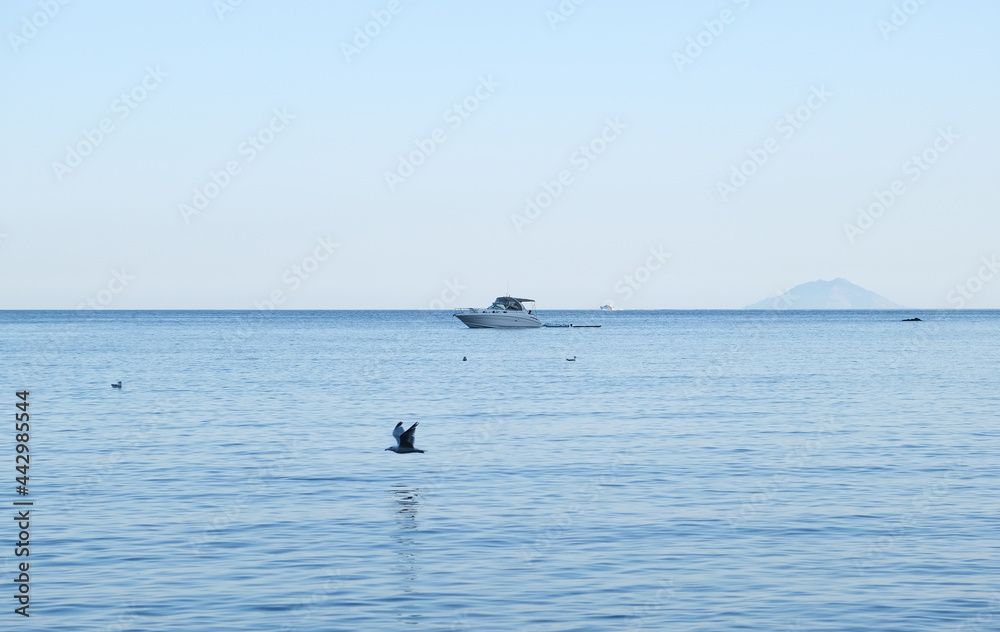 Calm blue sea with boat and seagull. High quality photo