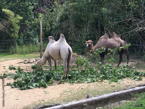 Tiere im Zoo Aschersleben (30)