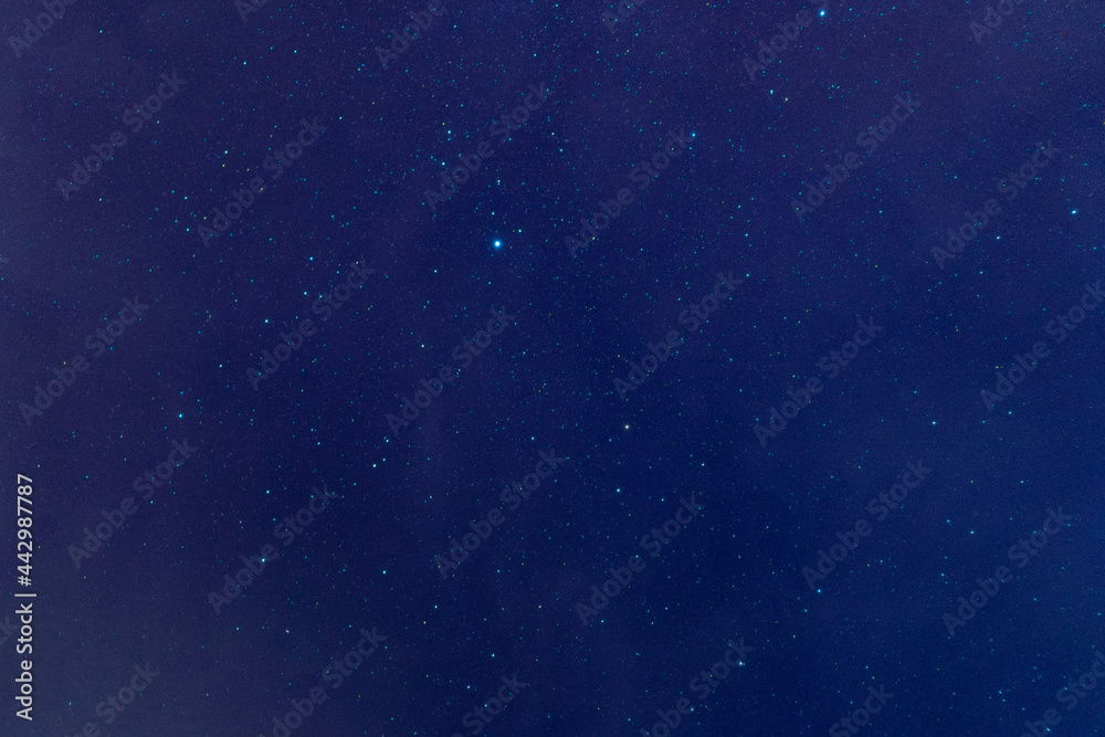 Fototapeta premium stars in the sky