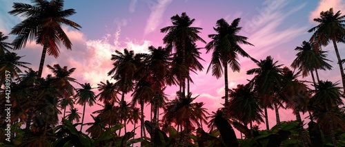 Silhouettes of coconut trees on the background of a beautiful sky, palms and sky, 3D rendering © ustas