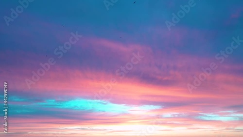 Wild birds flying over sunset or sunrise with orange sky. Sundown At Sunset. Natural sunset sky. Flying birds on a colorful sunset sky background