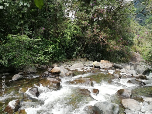 The water of Pance River in Cali Colombia.
