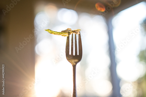 Salad on a fork