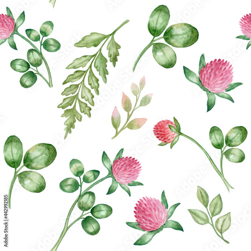 Botanic blossom floral elements. Branches, Clover, leaves, herbs, wild plants, flowers. Seamless pattern. Garden, meadow, feild collection leaf, foliage, branches. Bloom watercolor illustration photo
